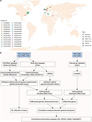 Integrated Microbiome and Host Transcriptome Profiles Link Parkinson’s Disease to Blautia Genus: Evidence From Feces, Blood, and Brain